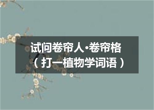 试问卷帘人·卷帘格（打一植物学词语）