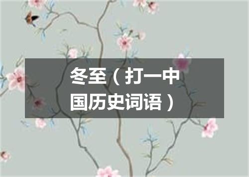 冬至（打一中国历史词语）