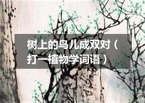 树上的鸟儿成双对（打一植物学词语）