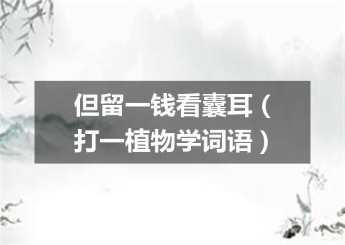 但留一钱看囊耳（打一植物学词语）