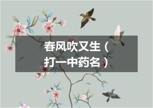 春风吹又生（打一中药名）