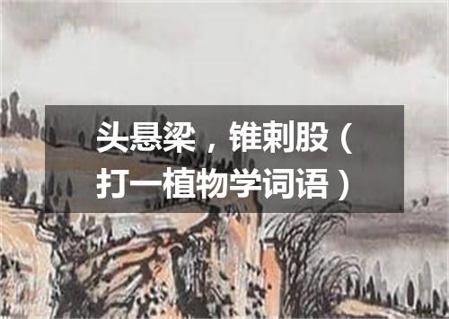 头悬梁，锥剌股（打一植物学词语）
