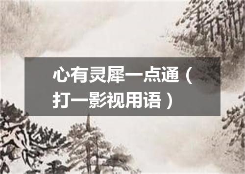 心有灵犀一点通（打一影视用语）