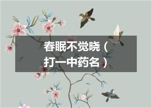 春眠不觉晓（打一中药名）