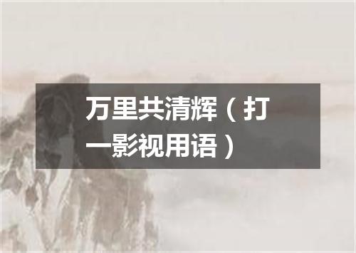 万里共清辉（打一影视用语）