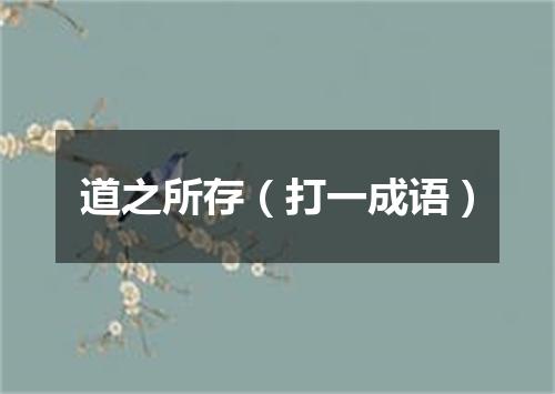 道之所存（打一成语）