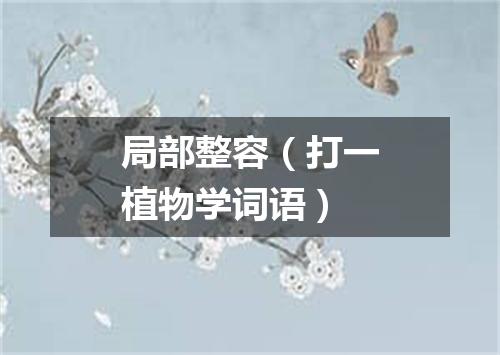 局部整容（打一植物学词语）