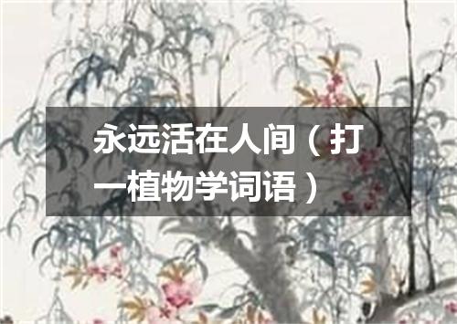 永远活在人间（打一植物学词语）