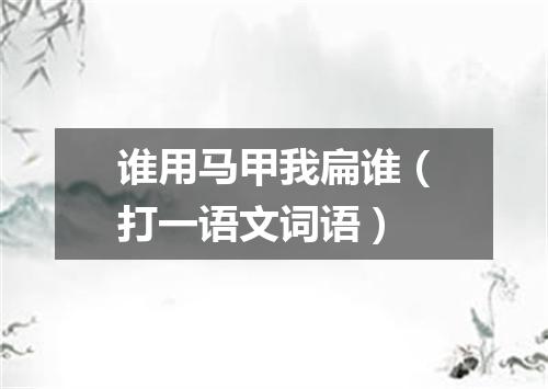 谁用马甲我扁谁（打一语文词语）