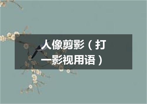 人像剪影（打一影视用语）