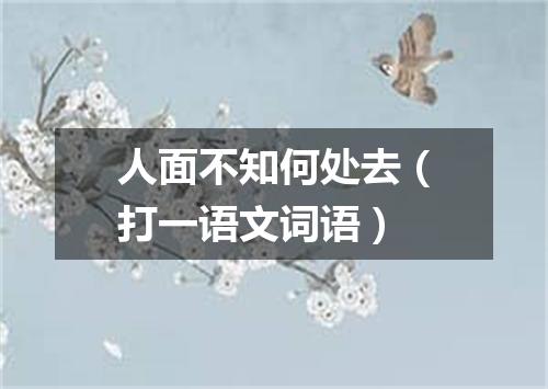 人面不知何处去（打一语文词语）