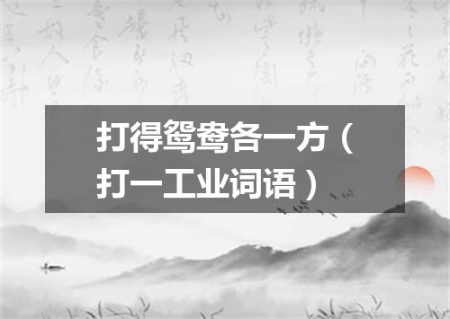 打得鸳鸯各一方（打一工业词语）