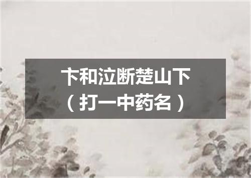 卞和泣断楚山下（打一中药名）