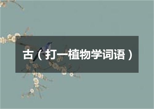 古（打一植物学词语）