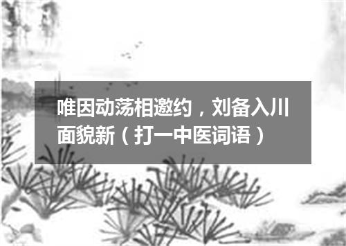唯因动荡相邀约，刘备入川面貌新（打一中医词语）
