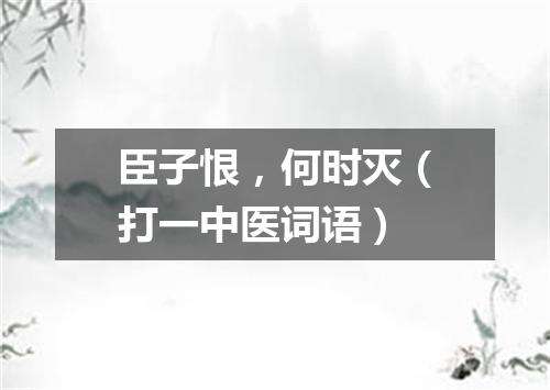 臣子恨，何时灭（打一中医词语）