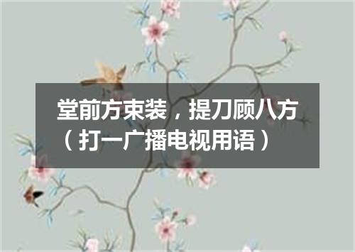 堂前方束装，提刀顾八方（打一广播电视用语）