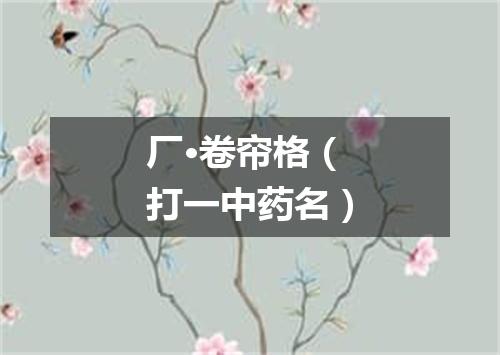 厂·卷帘格（打一中药名）