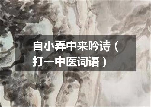 自小弄中来吟诗（打一中医词语）