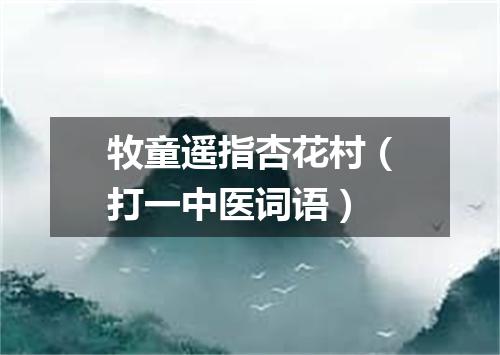 牧童遥指杏花村（打一中医词语）