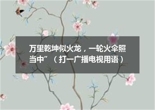 万里乾坤似火龙，一轮火伞照当中”（打一广播电视用语）