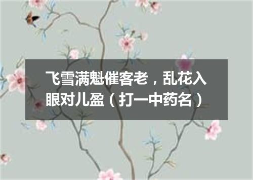 飞雪满魁催客老，乱花入眼对儿盈（打一中药名）