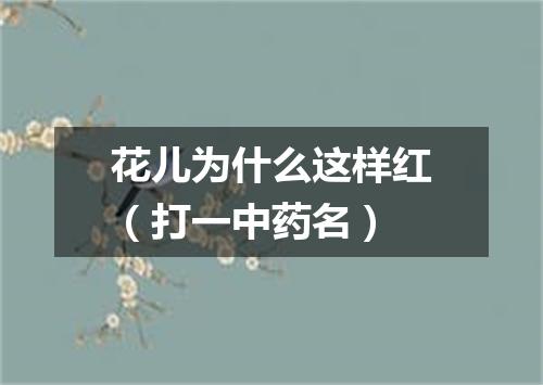 花儿为什么这样红（打一中药名）