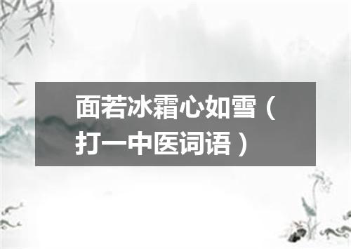 面若冰霜心如雪（打一中医词语）