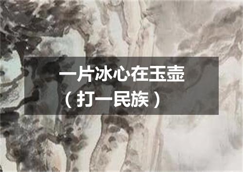 一片冰心在玉壶（打一民族）