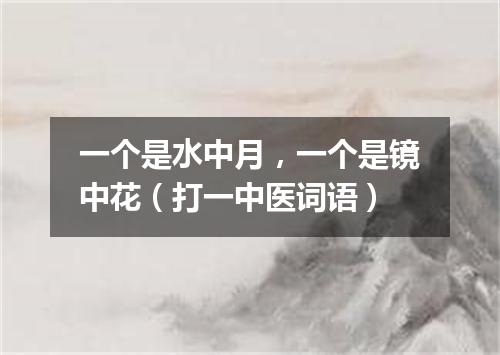 一个是水中月，一个是镜中花（打一中医词语）