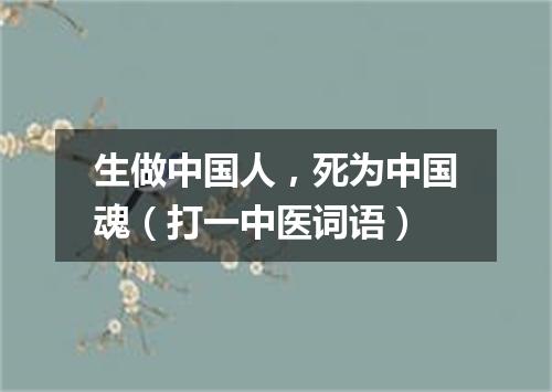 生做中国人，死为中国魂（打一中医词语）