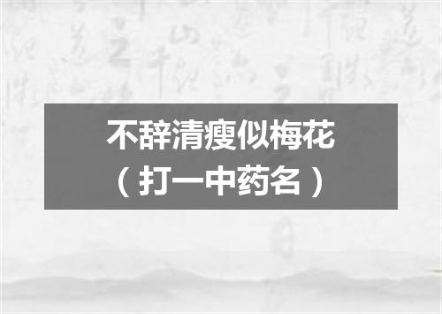不辞清瘦似梅花（打一中药名）