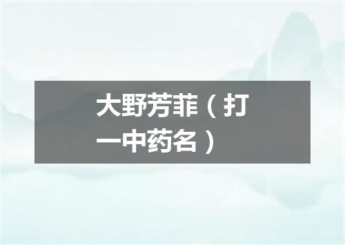 大野芳菲（打一中药名）