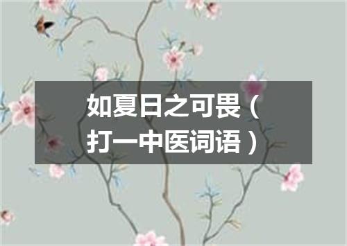 如夏日之可畏（打一中医词语）