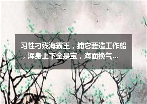 习性刁残海霸王，捕它要造工作船，浑身上下全是宝，海面换气喷银泉。（打一动物）