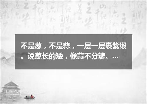 不是葱，不是蒜，一层一层裹紫缎。说葱长的矮，像蒜不分瓣。（打一蔬菜）