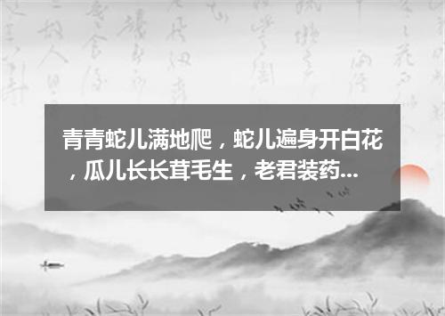 青青蛇儿满地爬，蛇儿遍身开白花，瓜儿长长茸毛生，老君装药要用它。（打一植物）