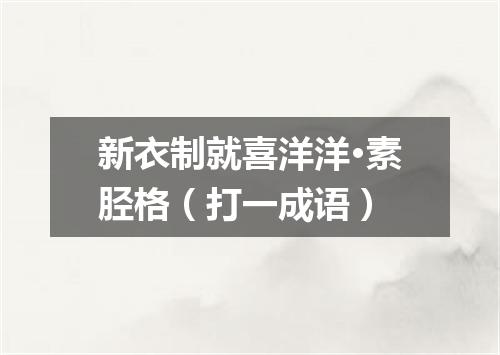 新衣制就喜洋洋·素胫格（打一成语）
