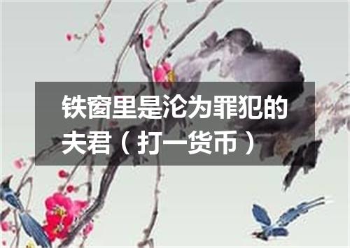 铁窗里是沦为罪犯的夫君（打一货币）