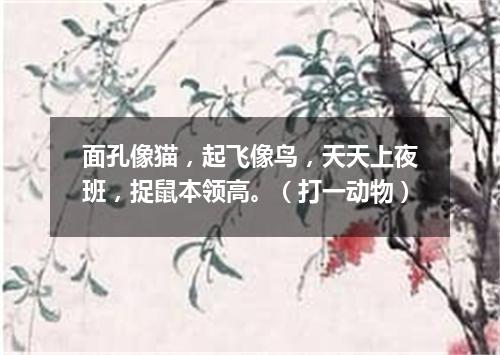 面孔像猫，起飞像鸟，天天上夜班，捉鼠本领高。（打一动物）