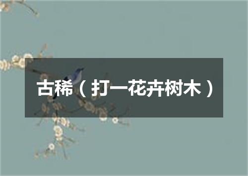 古稀（打一花卉树木）