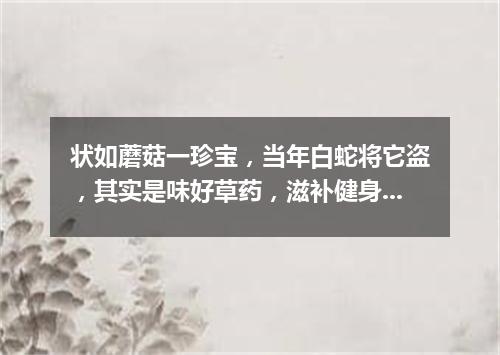 状如蘑菇一珍宝，当年白蛇将它盗，其实是味好草药，滋补健身价值高。（打一植物）