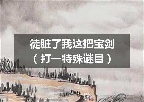 徒脏了我这把宝剑（打一特殊谜目）
