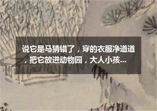 说它是马猜错了，穿的衣服净道道，把它放进动物园，大人小孩都爱瞧。（打一动物）