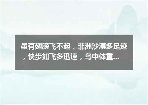 虽有翅膀飞不起，非洲沙漠多足迹，快步如飞多迅速，鸟中体重它第一。（打一动物）