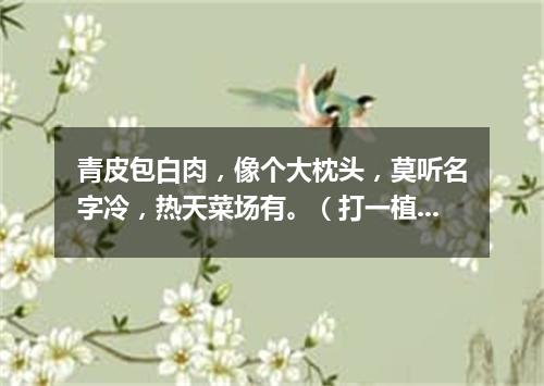 青皮包白肉，像个大枕头，莫听名字冷，热天菜场有。（打一植物）