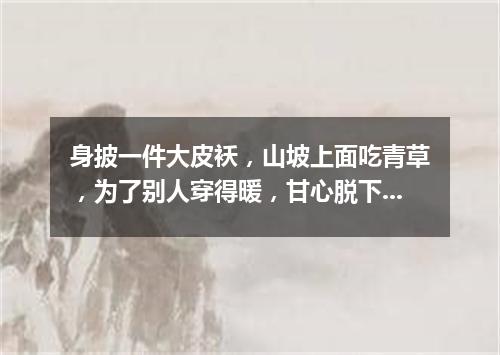 身披一件大皮袄，山坡上面吃青草，为了别人穿得暖，甘心脱下自己毛。（打一动物）