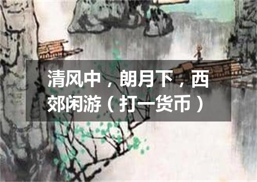 清风中，朗月下，西郊闲游（打一货币）