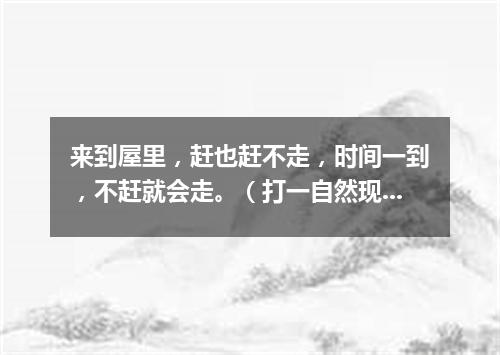 来到屋里，赶也赶不走，时间一到，不赶就会走。（打一自然现象）