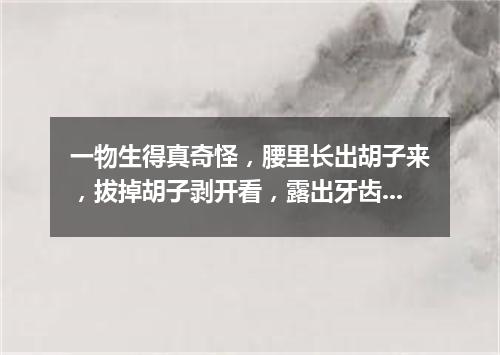 一物生得真奇怪，腰里长出胡子来，拔掉胡子剥开看，露出牙齿一排排。（打一植物）